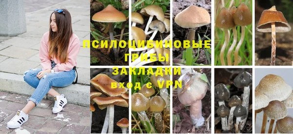 МДМА Богородицк