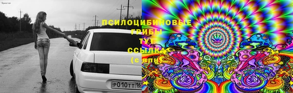 герыч Бородино