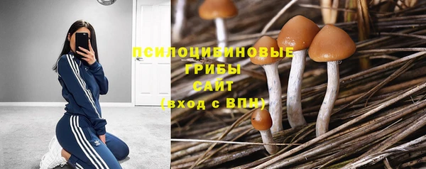МДМА Богородицк