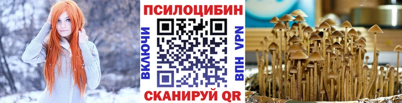 мега зеркало  Нерчинск  это телеграм  Галлюциногенные грибы MAGIC MUSHROOMS 